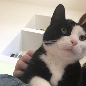 Meet your Posher, Anika